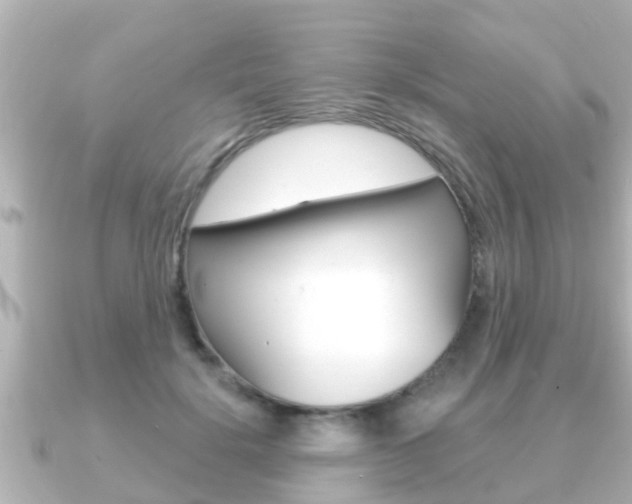X0000091230652200708091114