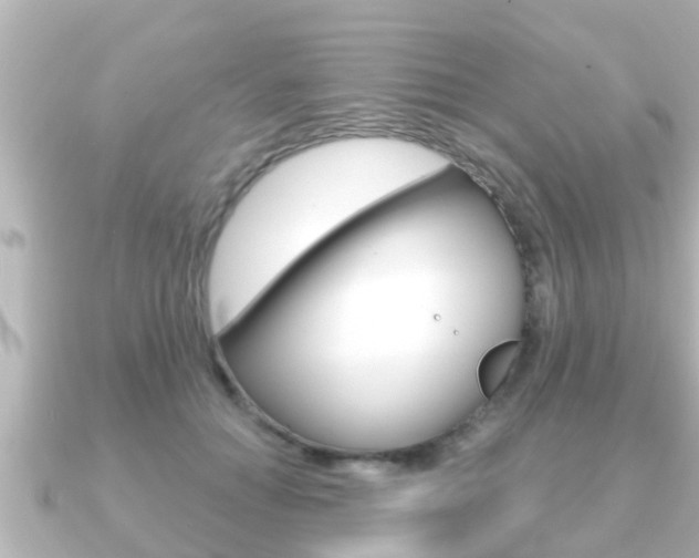 X0000091230654200708091114