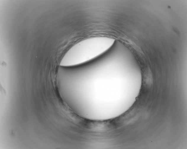 X0000091230661200708091114
