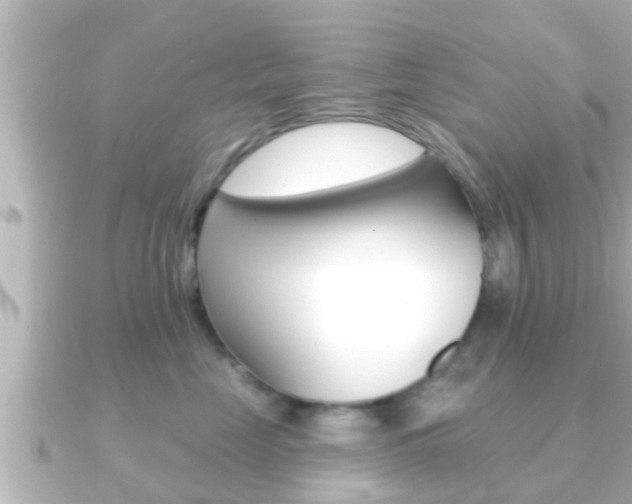 X0000091230669200708091114