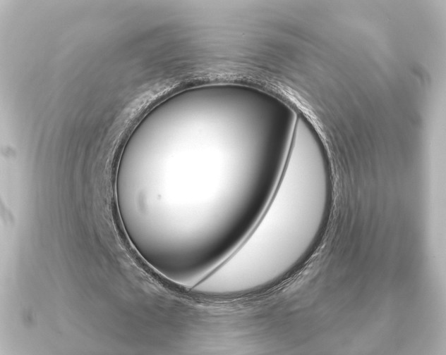 X0000091230673200708091114