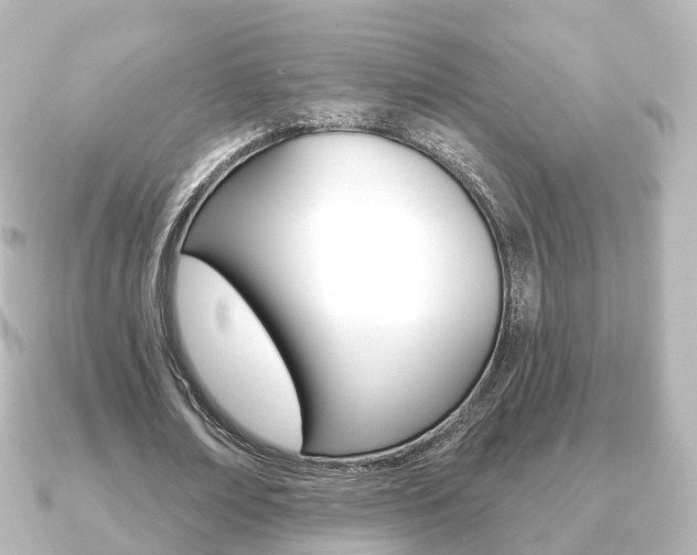 X0000091230674200708091114