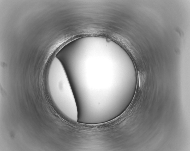 X0000091230675200708091114