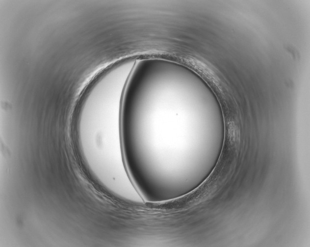 X0000091230676200708091114