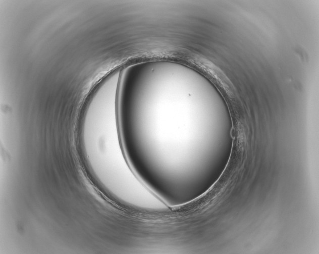X0000091230677200708091114