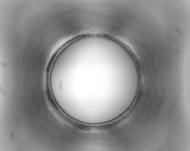 X0000091230678200708091114