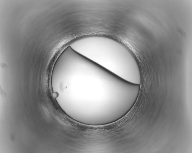 X0000091230679200708091114