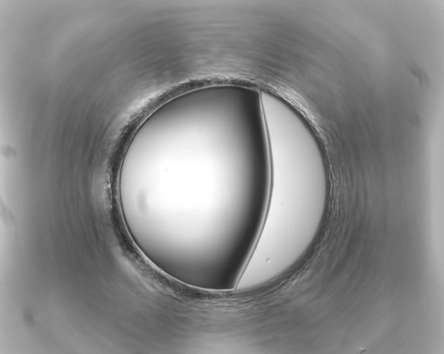 X0000091230680200708091114