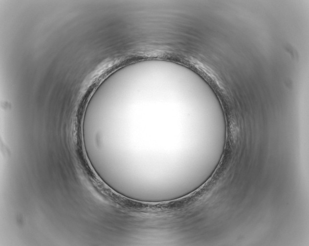 X0000091230682200708091114