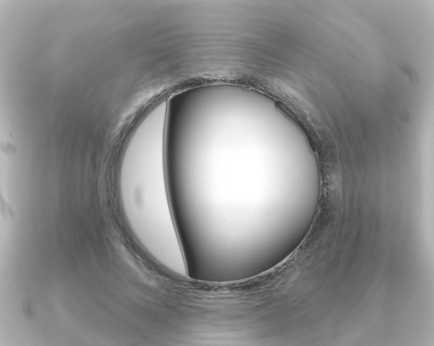 X0000091230688200708091114