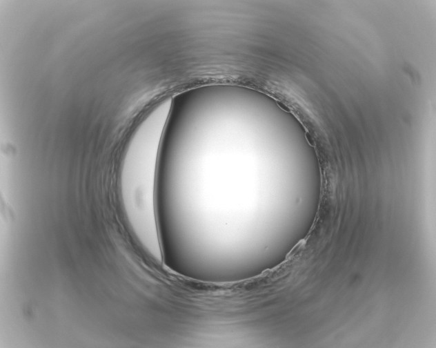 X0000091230692200708091113