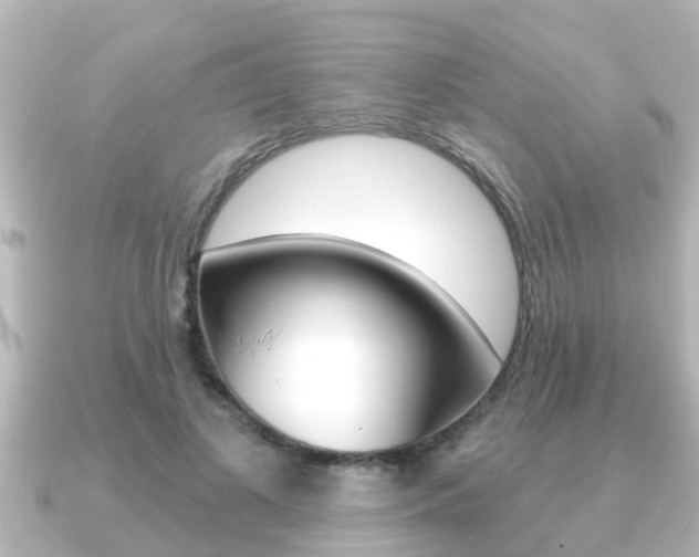 X0000091230693200708091113