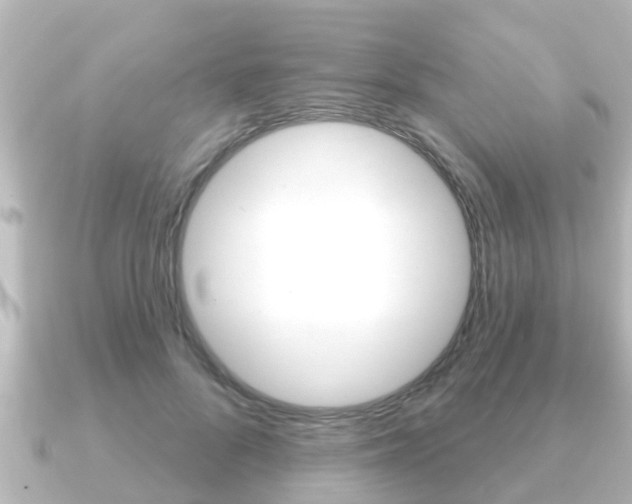 X0000091230696200708091113