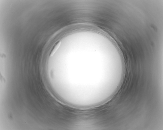 X0000091230701200708091113