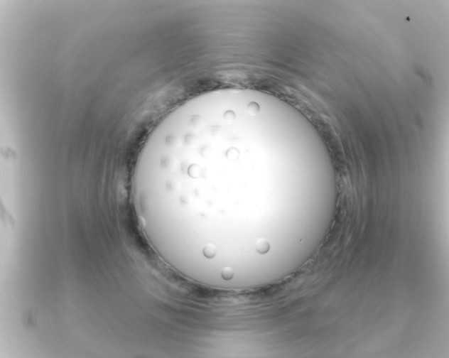 X0000091230702200708091113
