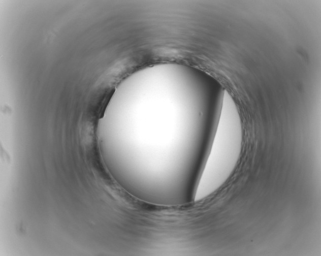 X0000091230708200708091113