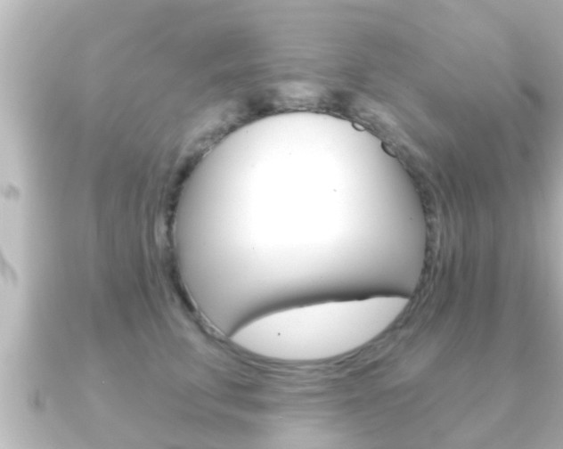 X0000091230711200708091113