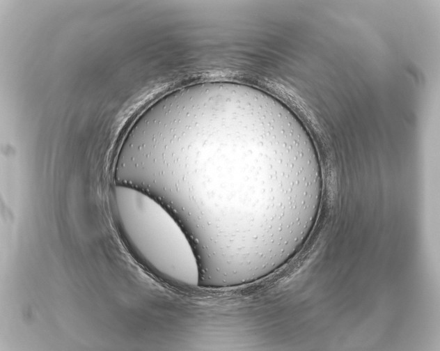 X0000091230721200708091113