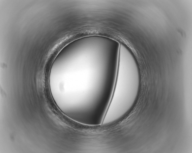 X0000091230722200708091113