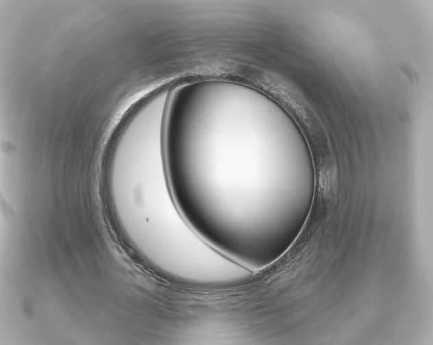 X0000091230724200708091113