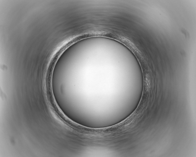 X0000091230726200708091113