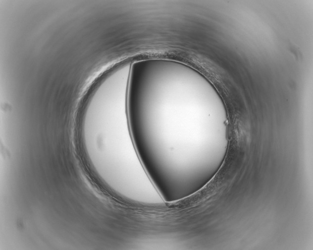 X0000091230728200708091113