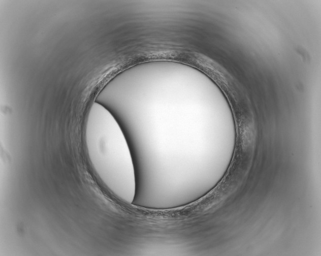 X0000091230729200708091113