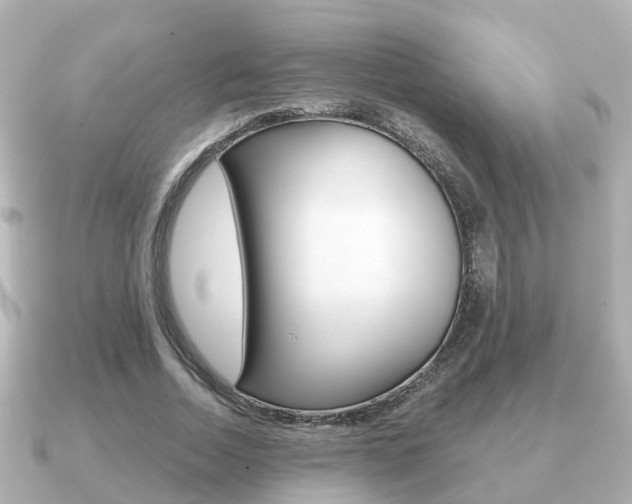 X0000091230730200708091113