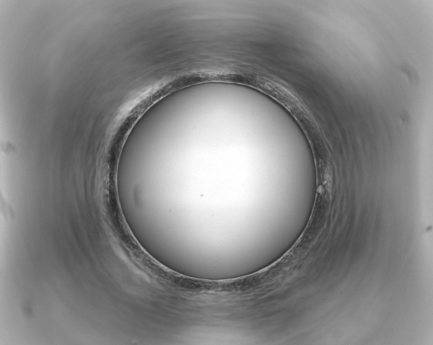 X0000091230732200708091113