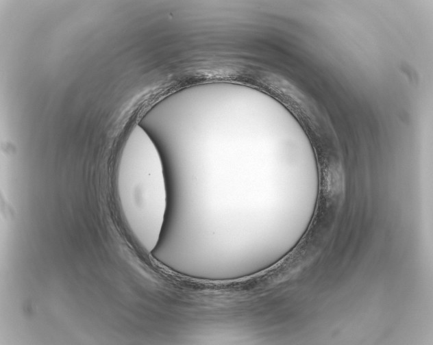 X0000091230733200708091113