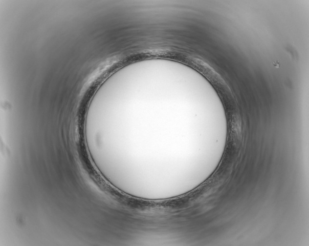 X0000091230734200708091113