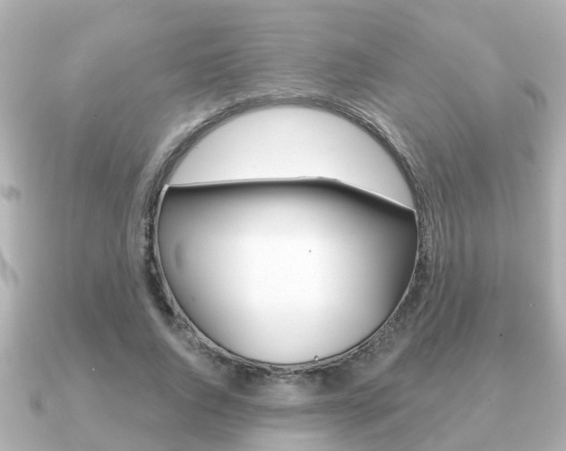 X0000091230736200708091113