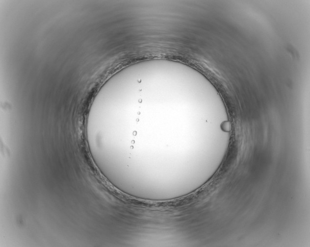 X0000091230737200708091113