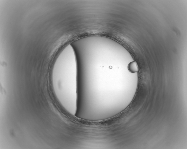 X0000091230738200708091113