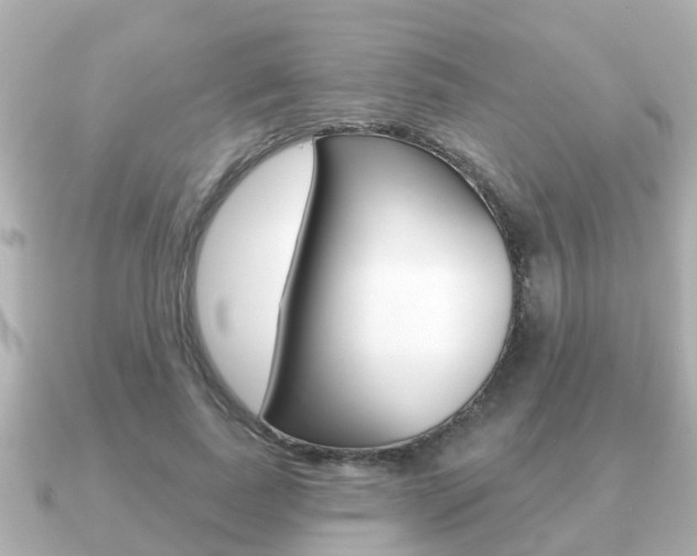 X0000091230739200708091113