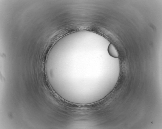 X0000091230741200708091113