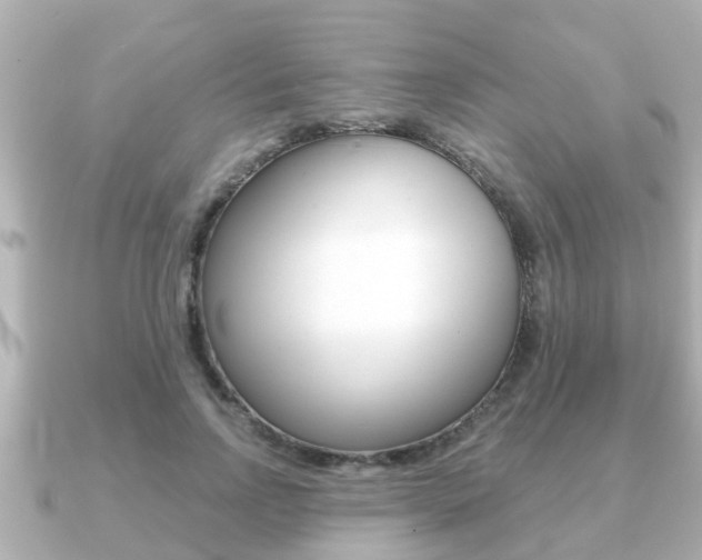 X0000091230742200708091113