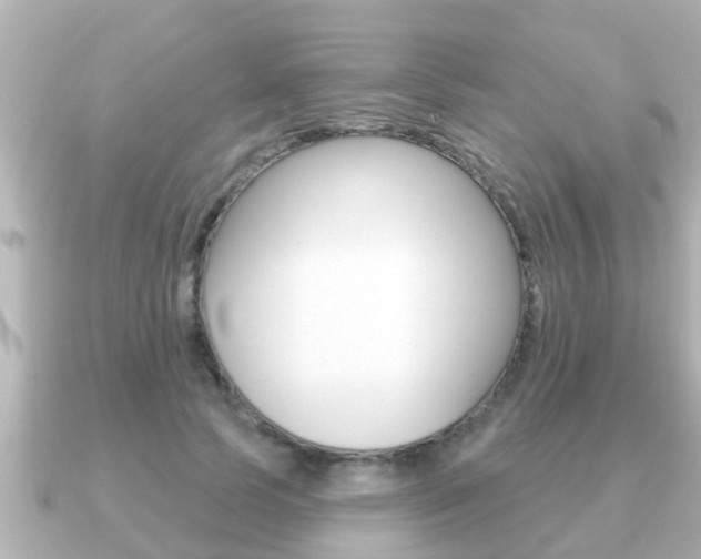 X0000091230745200708091113