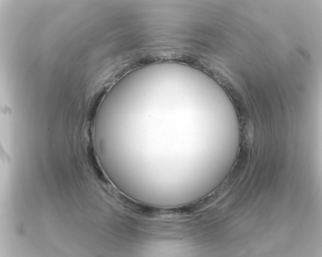X0000091230746200708091113