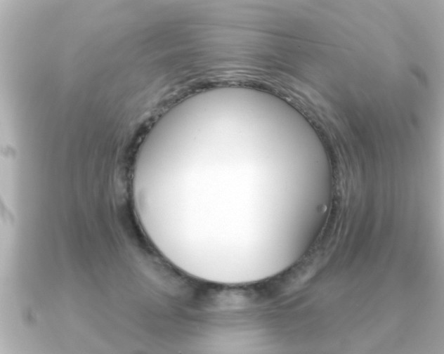 X0000091230751200708091113