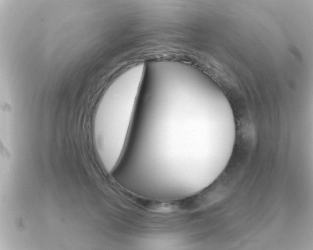 X0000091230754200708091113