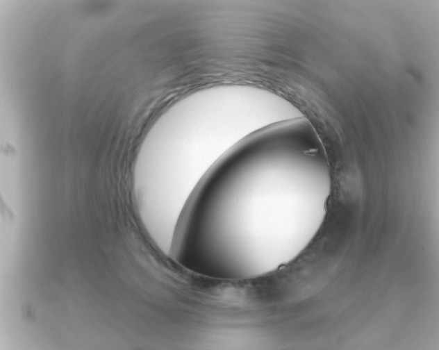 X0000091230756200708091113