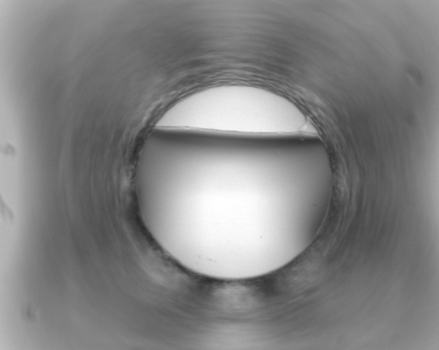 X0000091230759200708091113