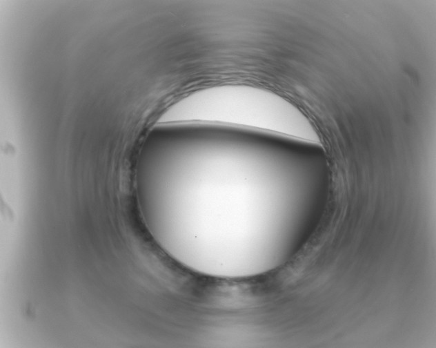 X0000091230760200708091113