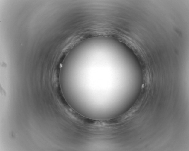 X0000091230764200708091113