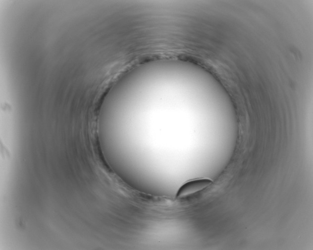 X0000091230768200708091113