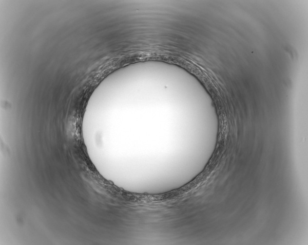 X0000091230770200708091113
