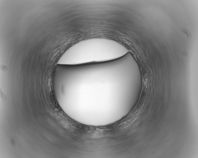 X0000091230772200708091113