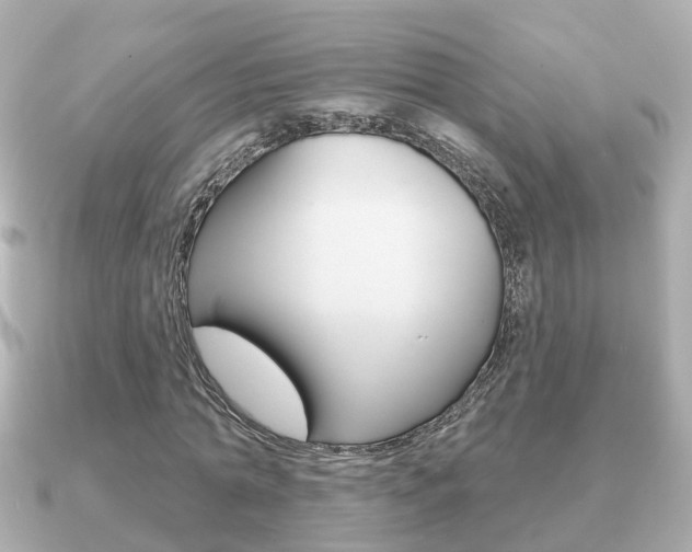 X0000091230774200708091113