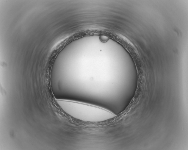 X0000091230775200708091113